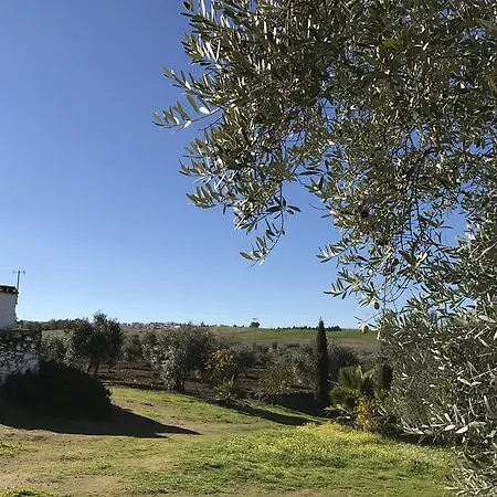 Cortijo Viña Del Duco Casa rural