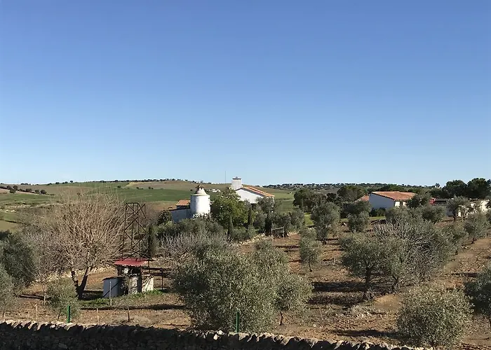 Cortijo Viña Del Duco Azuaga