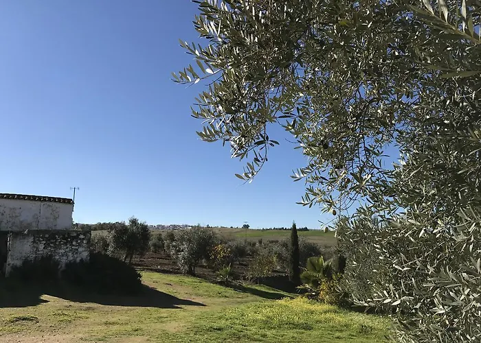 Cortijo Viña Del Duco Casa rural