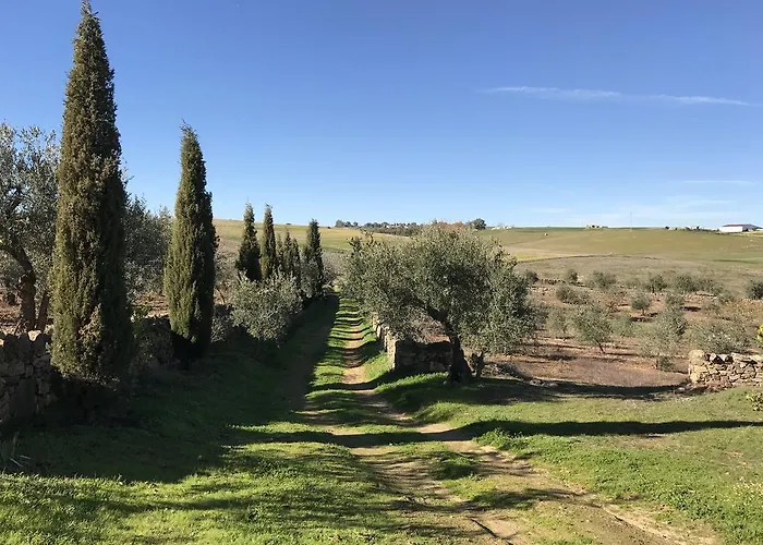 Cortijo Viña Del Duco *
